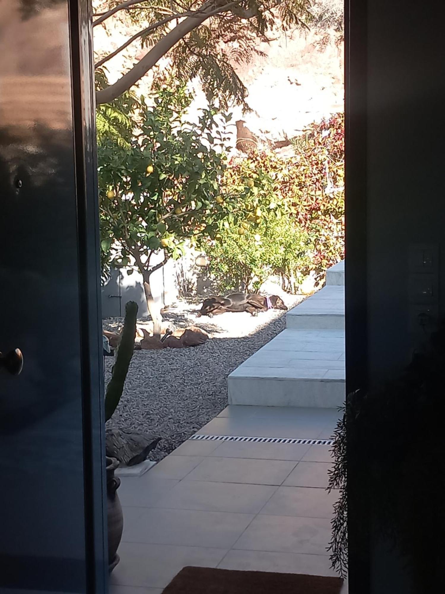 Villa La Casa Del Sol *